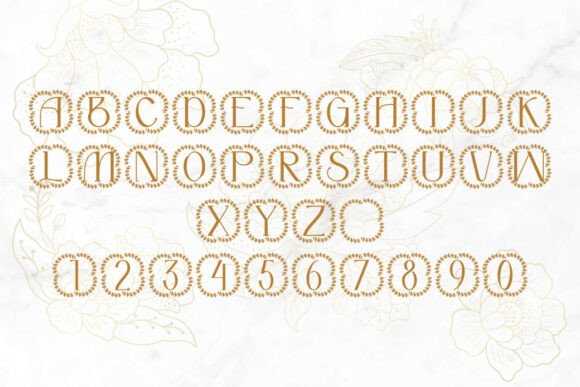 Caravine Monogram Font - Preview 3