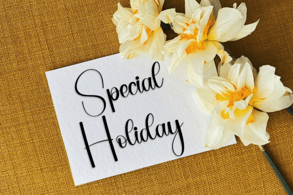Festive Write Font - Preview 2