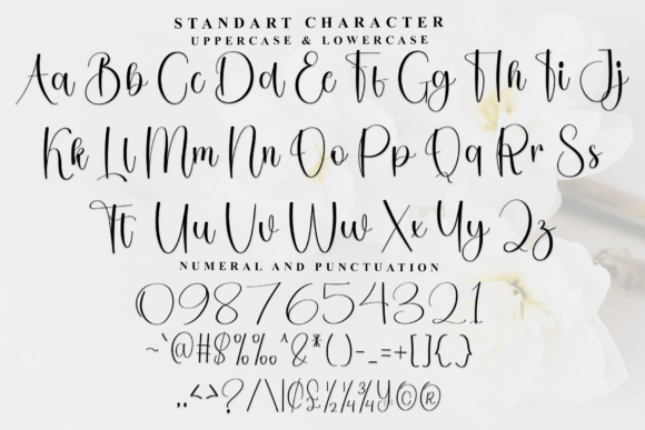Kitchen Handmade Font PNG with transparent background - Preview 5