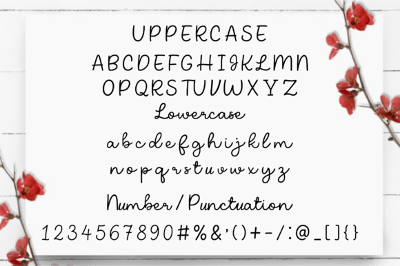 Aureline Script Font - Preview 2