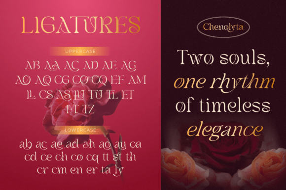 Chenolyta Font - Preview 5