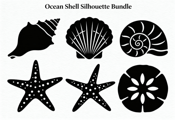 Ocean Shell Silhouette Bundle SVG Graphic Crafts By rabiulalam97677
