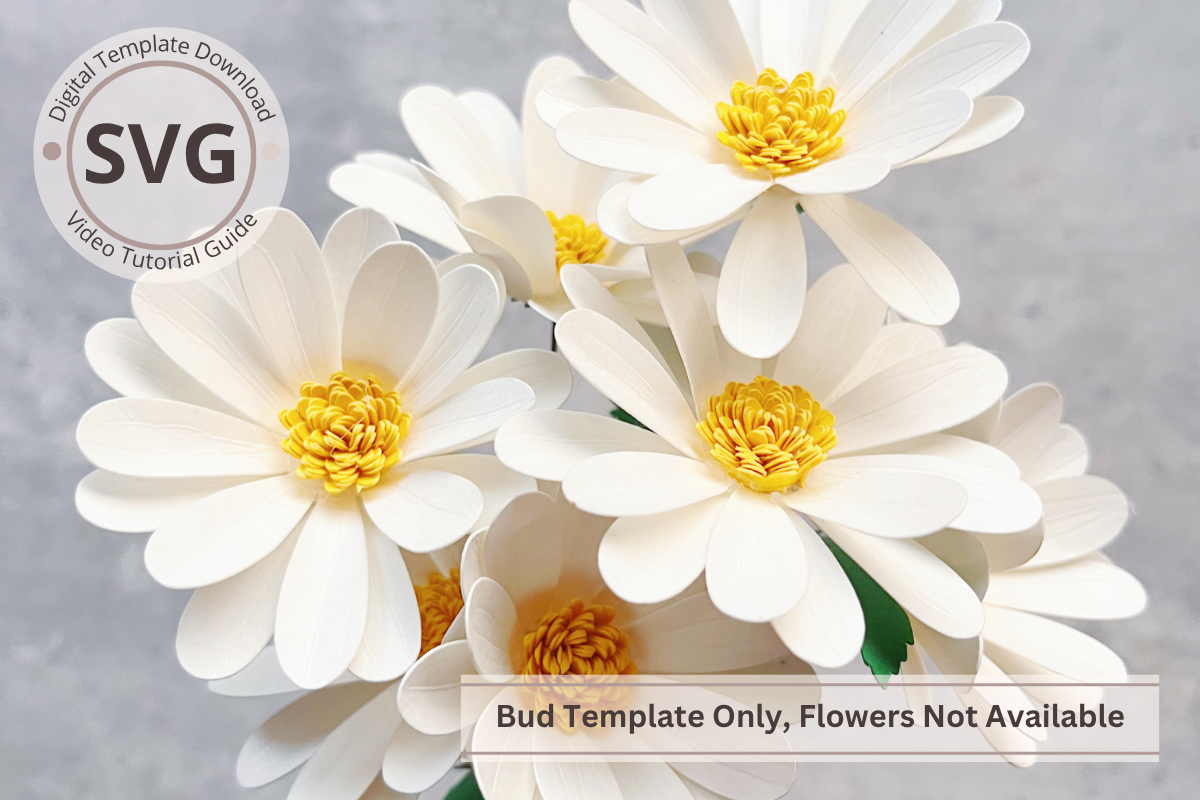 Paper Daisy Flower SVG Template Cricut beginner easy assembly