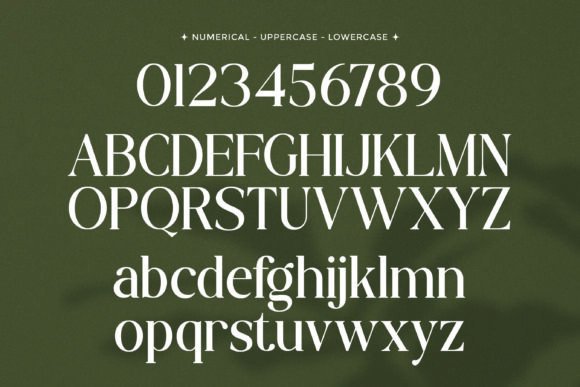 Brogade Font - Preview 6