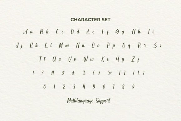Hidden Starling Font PNG with transparent background - Preview 3
