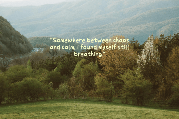 Reals Font PNG with transparent background - Preview 5