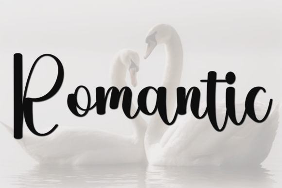Holiday Amsterdam Font PNG with transparent background - Preview 3