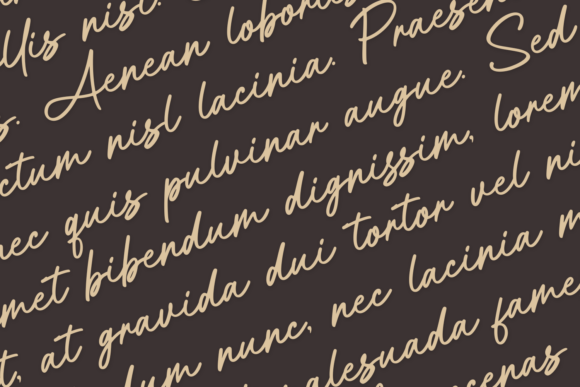 Aittemia Seikage Font - Preview 1