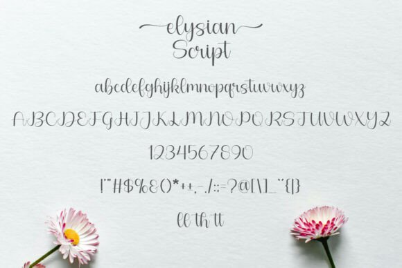 Elysian Script Font - Preview 5