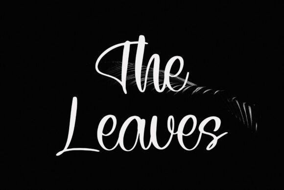 Selected Font PNG with transparent background - Preview 4