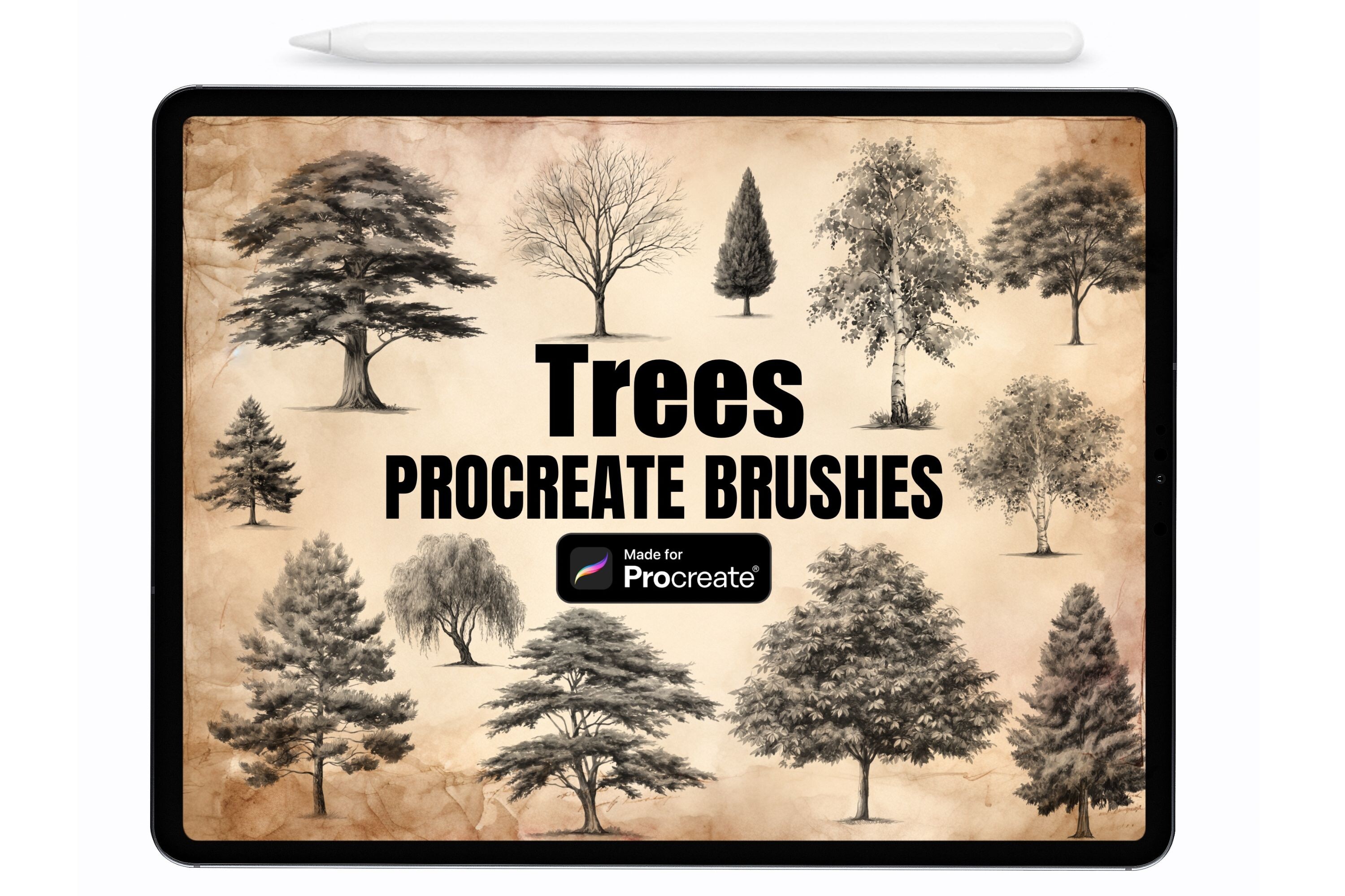 Forest Trees Procreate Stamps Brushes - photo 1