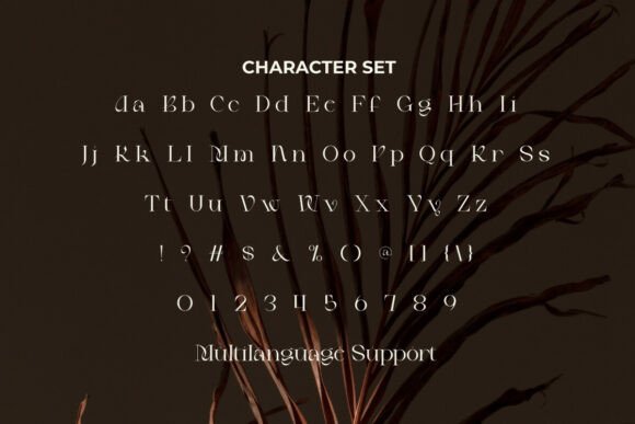 Jaima Kaira Font PNG with transparent background - Preview 4
