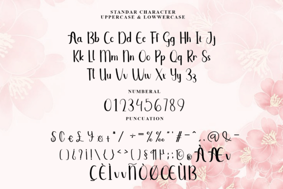 Audition Font - Preview 5