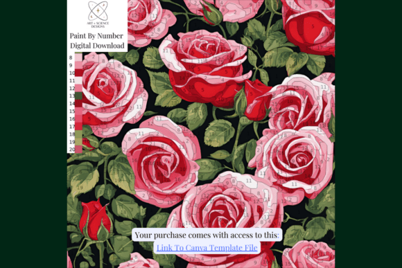 Roses Paint or Color by Number