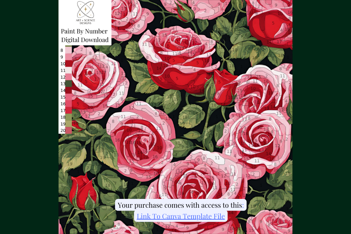 Roses Paint or Color by Number
