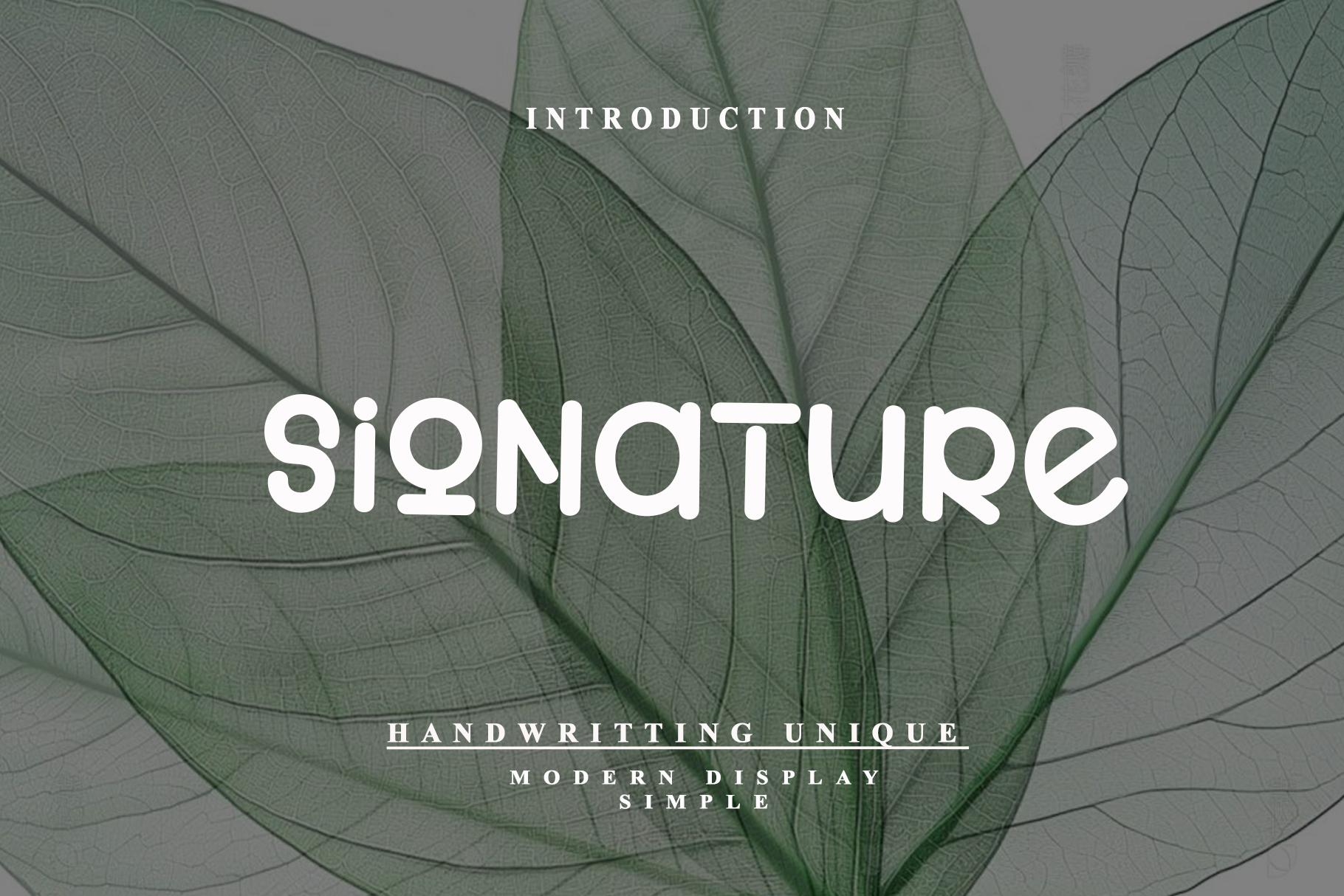 Signature preview, minimal display signature font