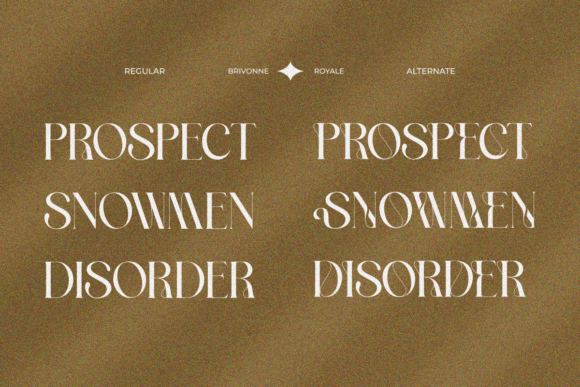 Brivonne Royale Font PNG with transparent background - Preview 3
