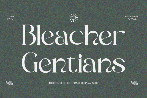 Brivonne Royale Font PNG with transparent background - Preview 5