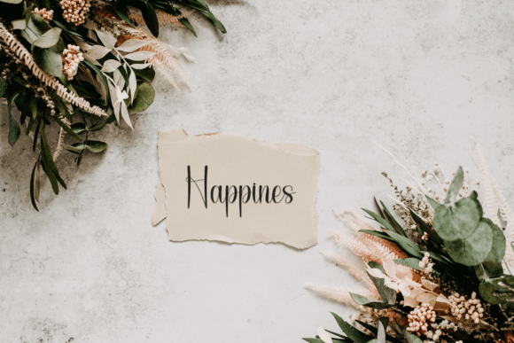 Calligraphy Font - Preview 2