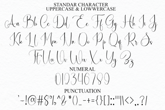 Autography Font - Preview 6