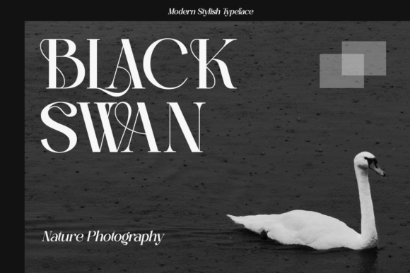 Balenia Font - Preview 3