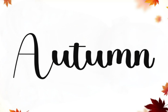 Delight Wedding Font - Preview 3