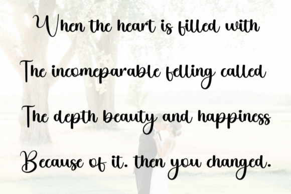 Delight Wedding Font - Preview 6