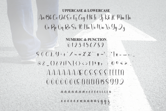 Following Font - Preview 6