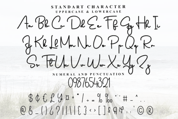 Ainsley Font - Preview 3