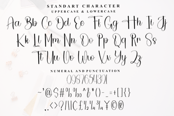 Beautiful Winterland Font - Preview 6