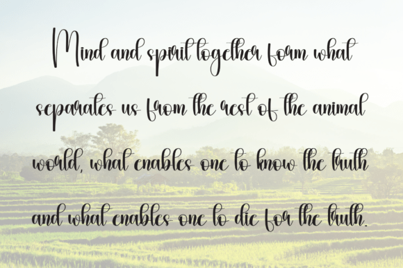 Birthday Font - Preview 5