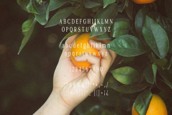 Perplex Font PNG with transparent background - Preview 6