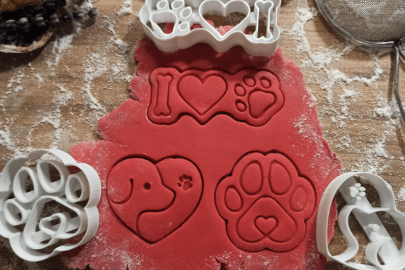 Dragonfly Cookie Cutter STL Files - 3D Printable Stamp Set - Image 13