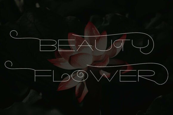 Qanisha Font PNG with transparent background - Preview 1