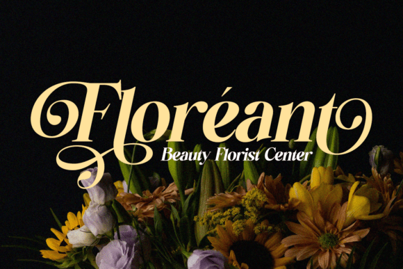 Bellanova Font - Preview 3