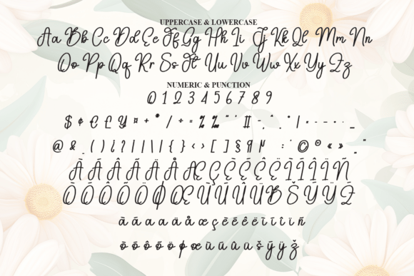 Daisy Font - Preview 6