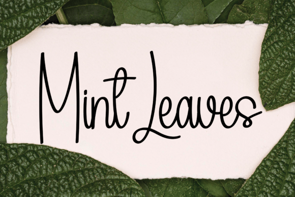 Flower Christmas Font - Preview 3