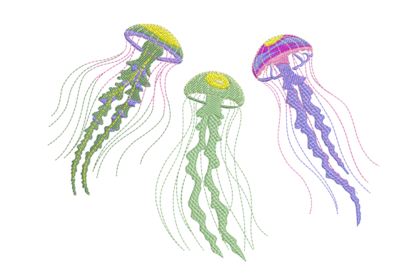 Jellyfish Trio – Ocean Marine Life