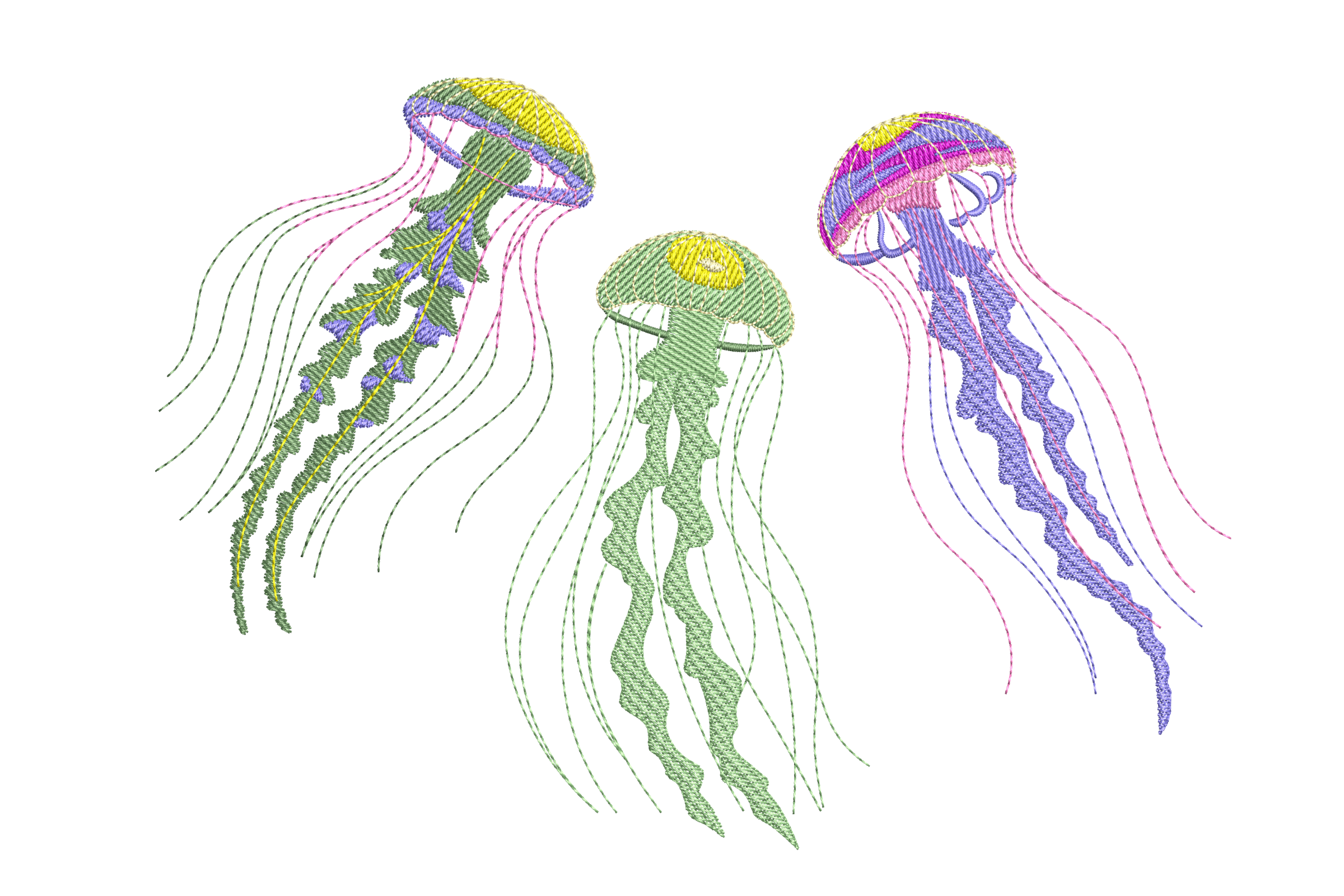 Jellyfish Trio – Ocean Marine Life