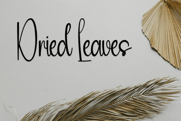 Newyear Gift Font PNG with transparent background - Preview 3