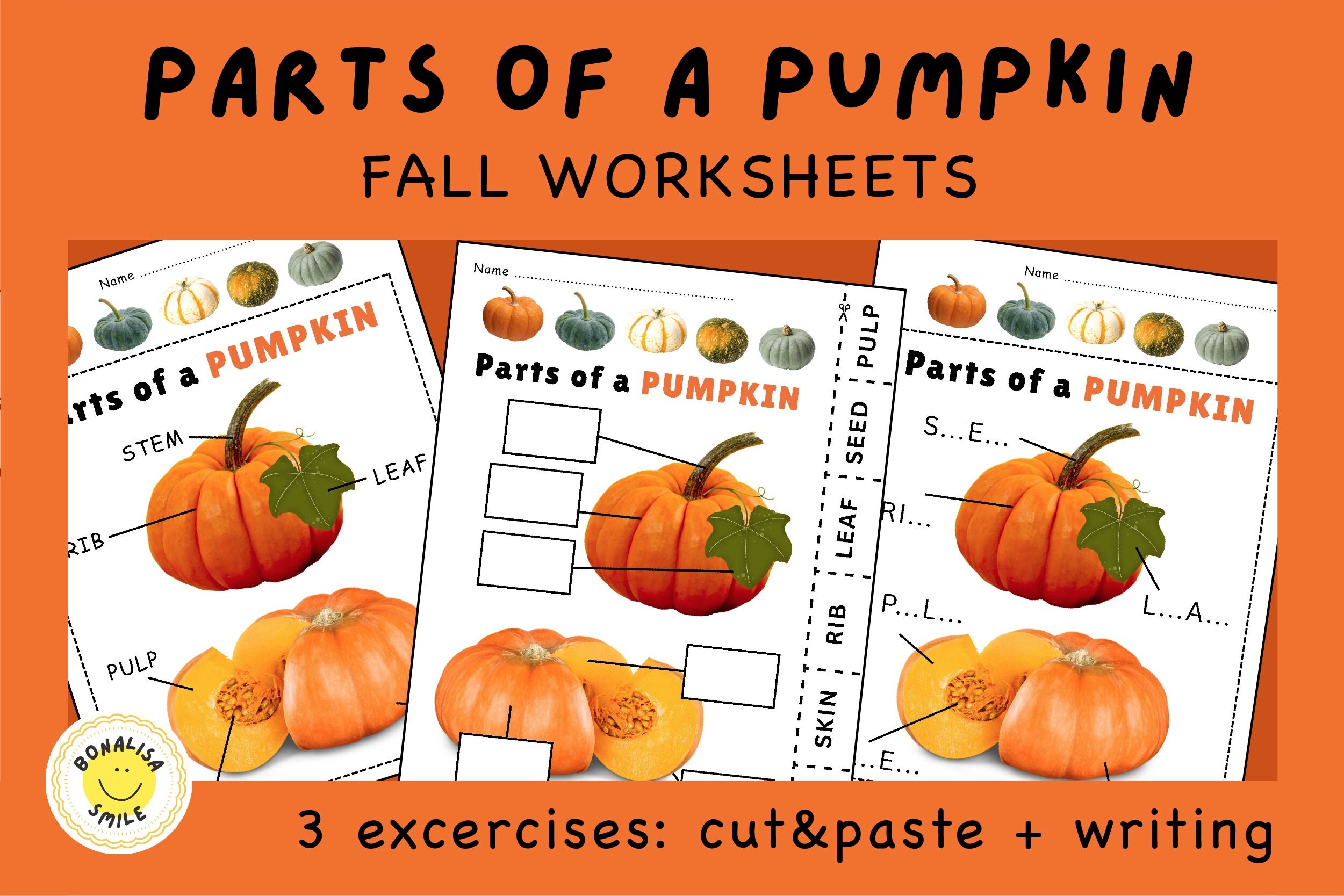 Parts of a PUMPKIN Science Worksheet