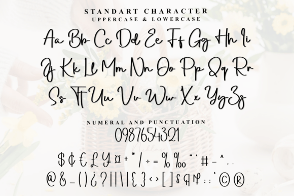 Basicly Font - Preview 4