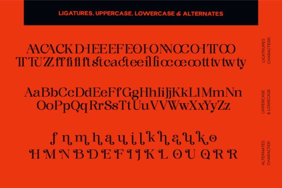 Bogens Font - Preview 5