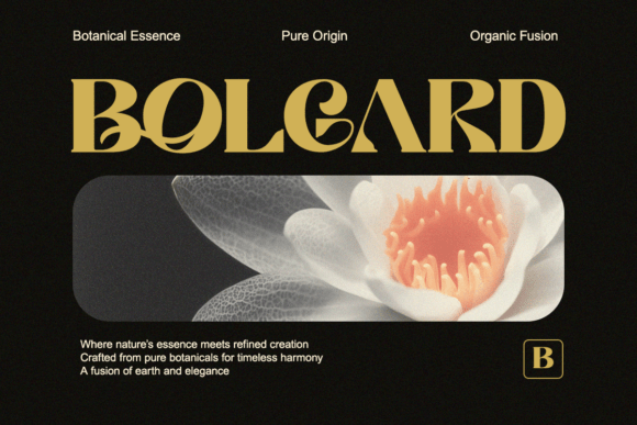 Filoptus Font - Preview 3