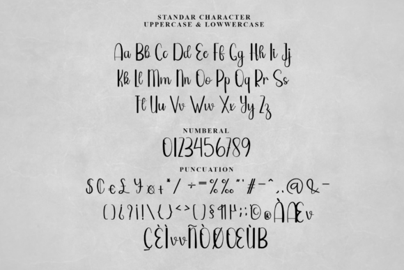 Autography Font - Preview 5