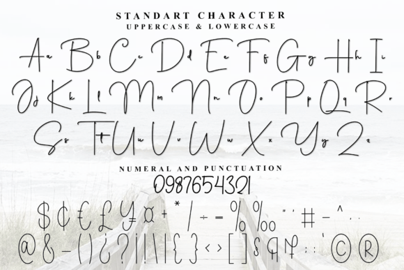 Aisha Font - Preview 6