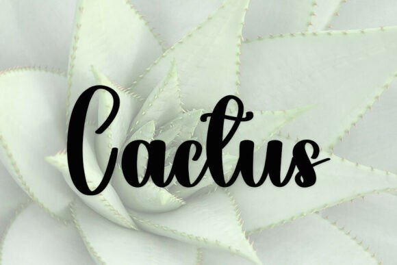 Christian Font - Preview 1