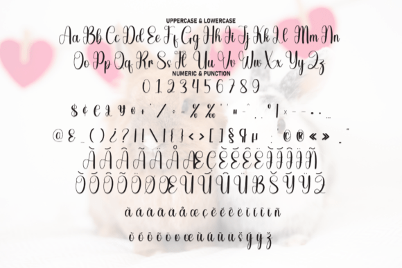 Bunnylove Font - Preview 6