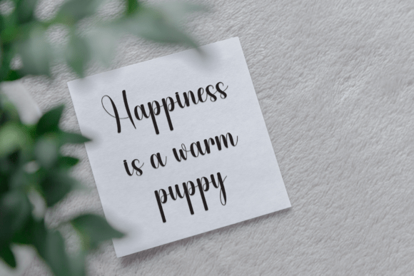 Mistery Font PNG with transparent background - Preview 2