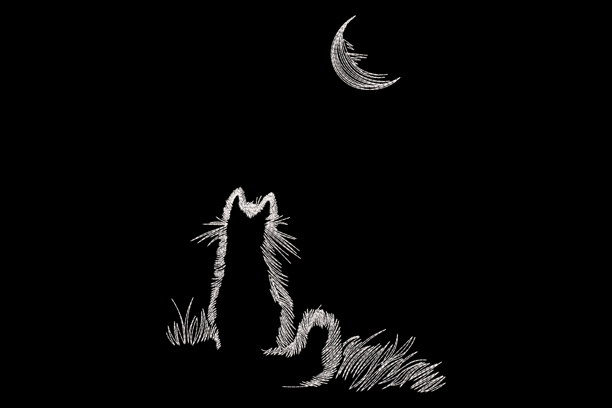 Cat Moon Line Art